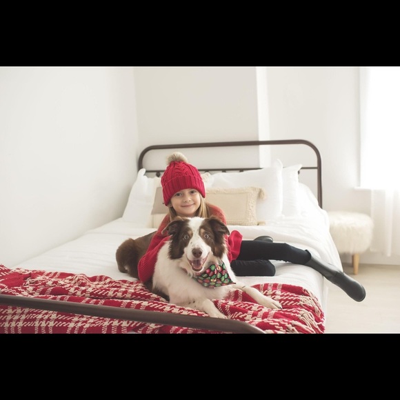 Meet your Posher, Douglas - Picture 2 of 2